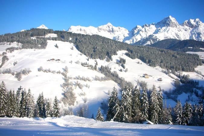 Ferienwohnung Klappacher Maria Alm am Steinernen Meer Exteriör bild