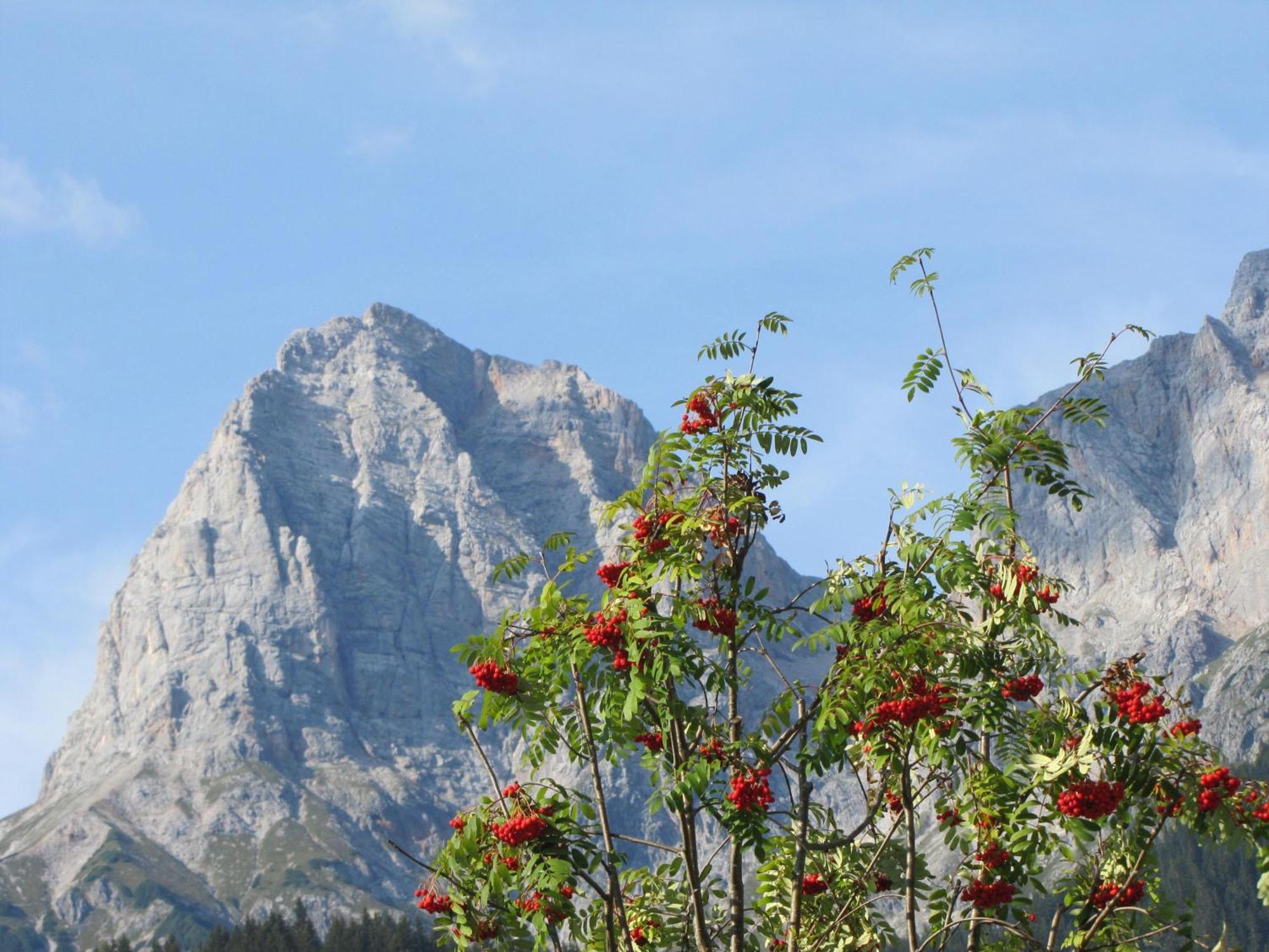 Ferienwohnung Klappacher Maria Alm am Steinernen Meer Exteriör bild
