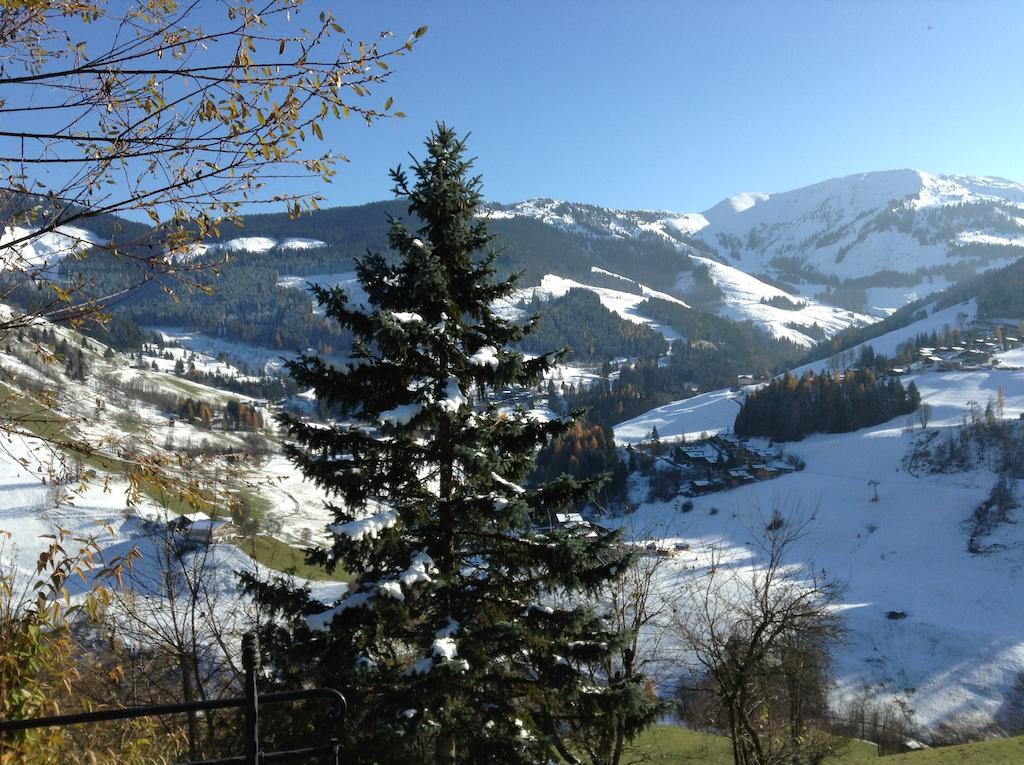 Ferienwohnung Klappacher Maria Alm am Steinernen Meer Exteriör bild