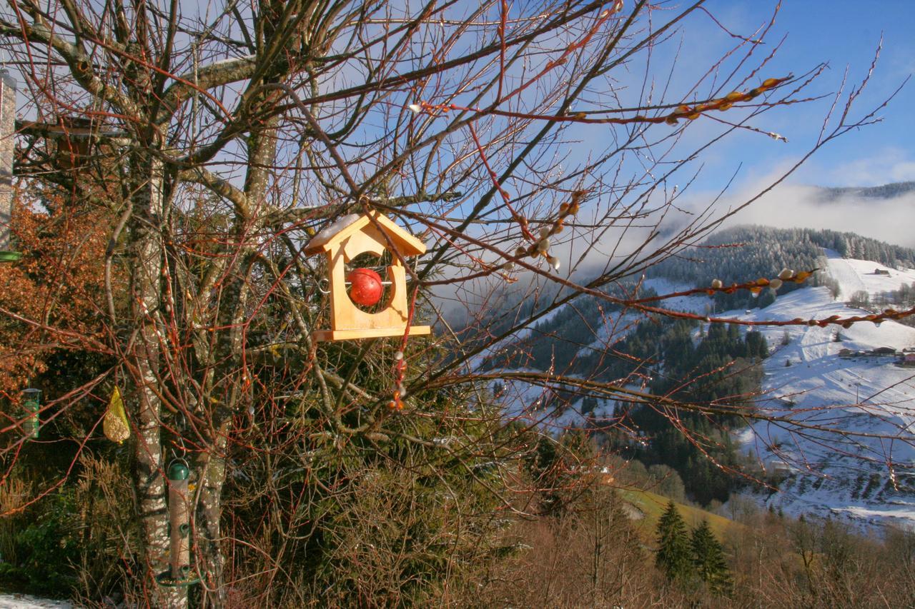 Ferienwohnung Klappacher Maria Alm am Steinernen Meer Exteriör bild