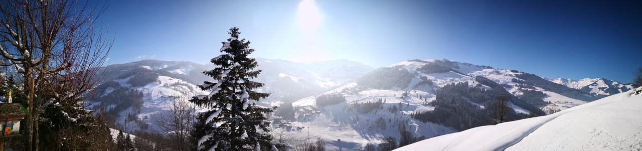 Ferienwohnung Klappacher Maria Alm am Steinernen Meer Exteriör bild